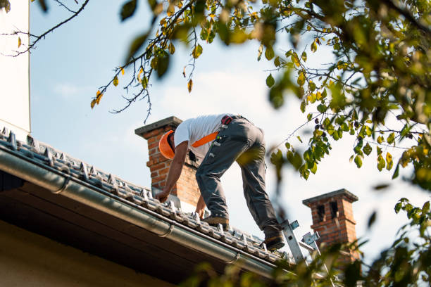 Best Roof Inspection  in Rexburg, ID