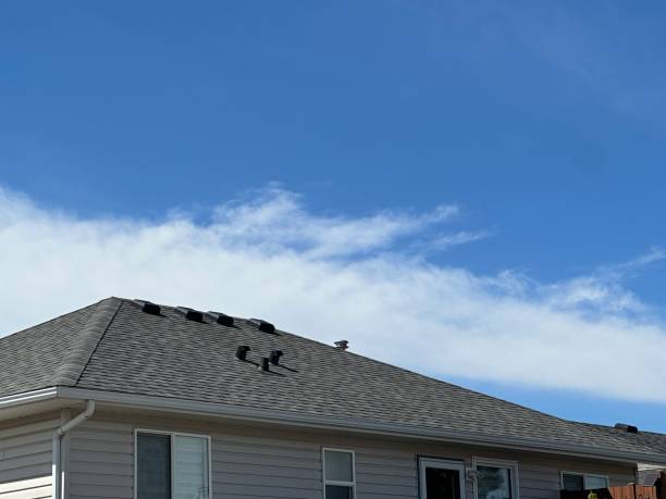 Best Solar Panel Roofing Installation  in Rexburg, ID